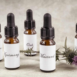 Botanica Medicines