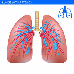 Lung and Cough Formula